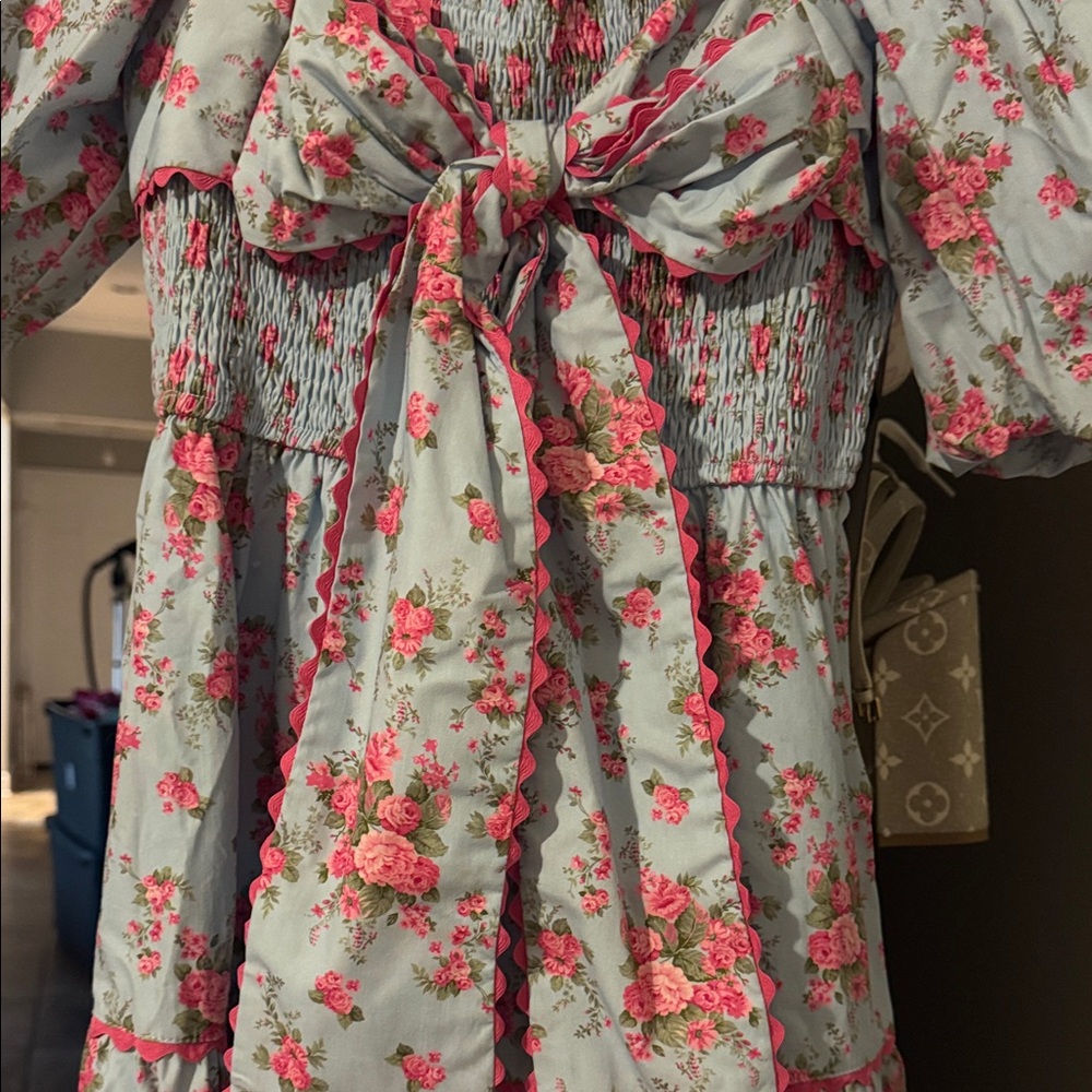 Peach Love California Blue and Pink Floral Maxi Dress - Picture 2 of 5